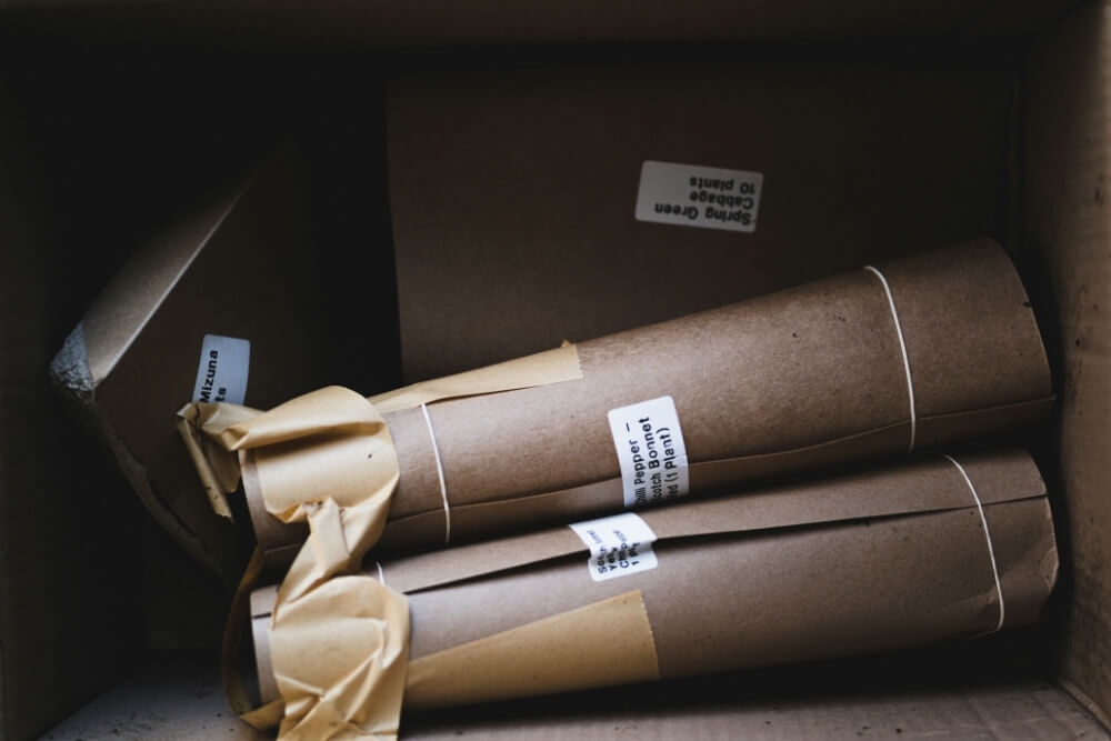 Etsy ou Shopify : quelle plateforme choisir pour vendre ses créations ?