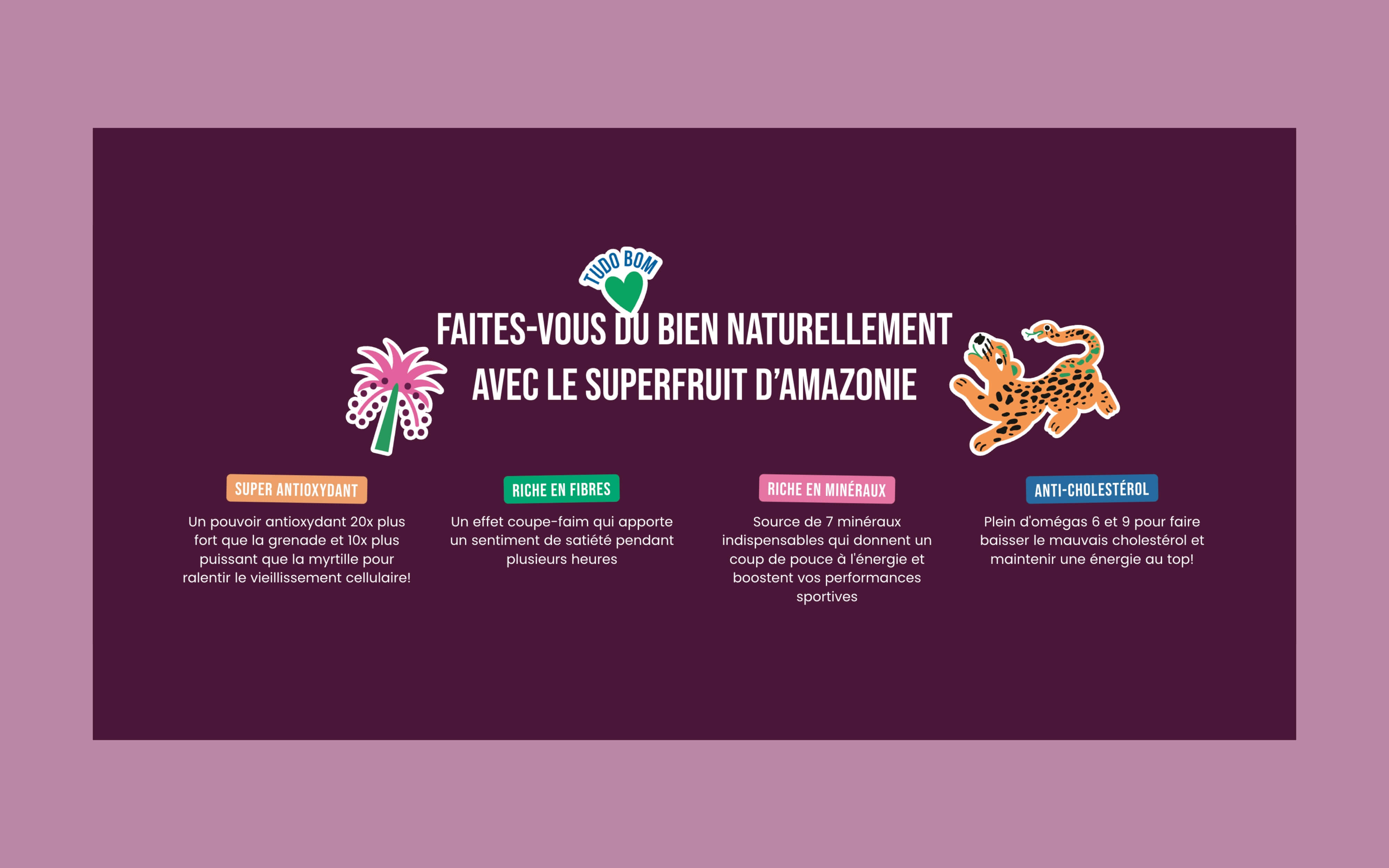 Page d'accueil refonte Shopify Nossa