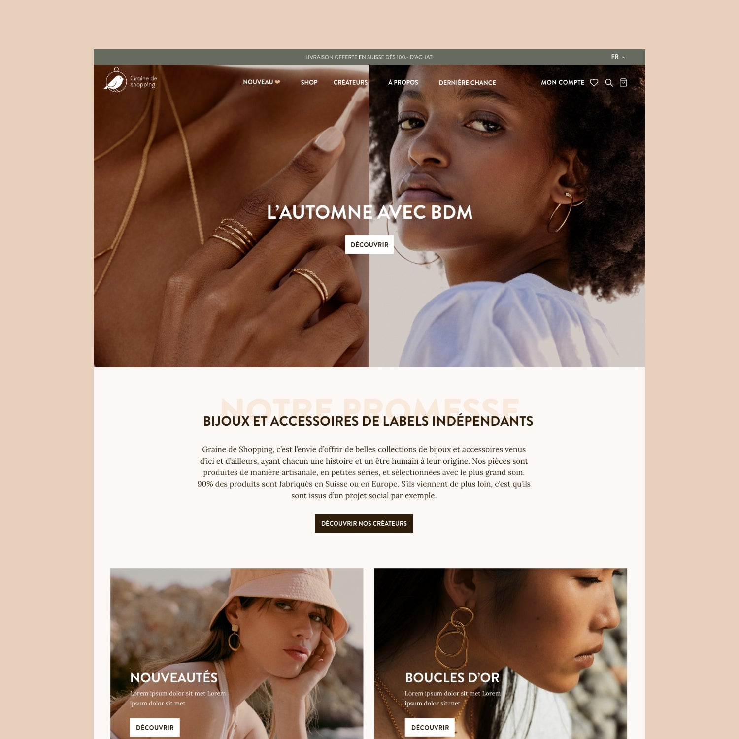 Exemple de projet d'Expert Shopify à Paris