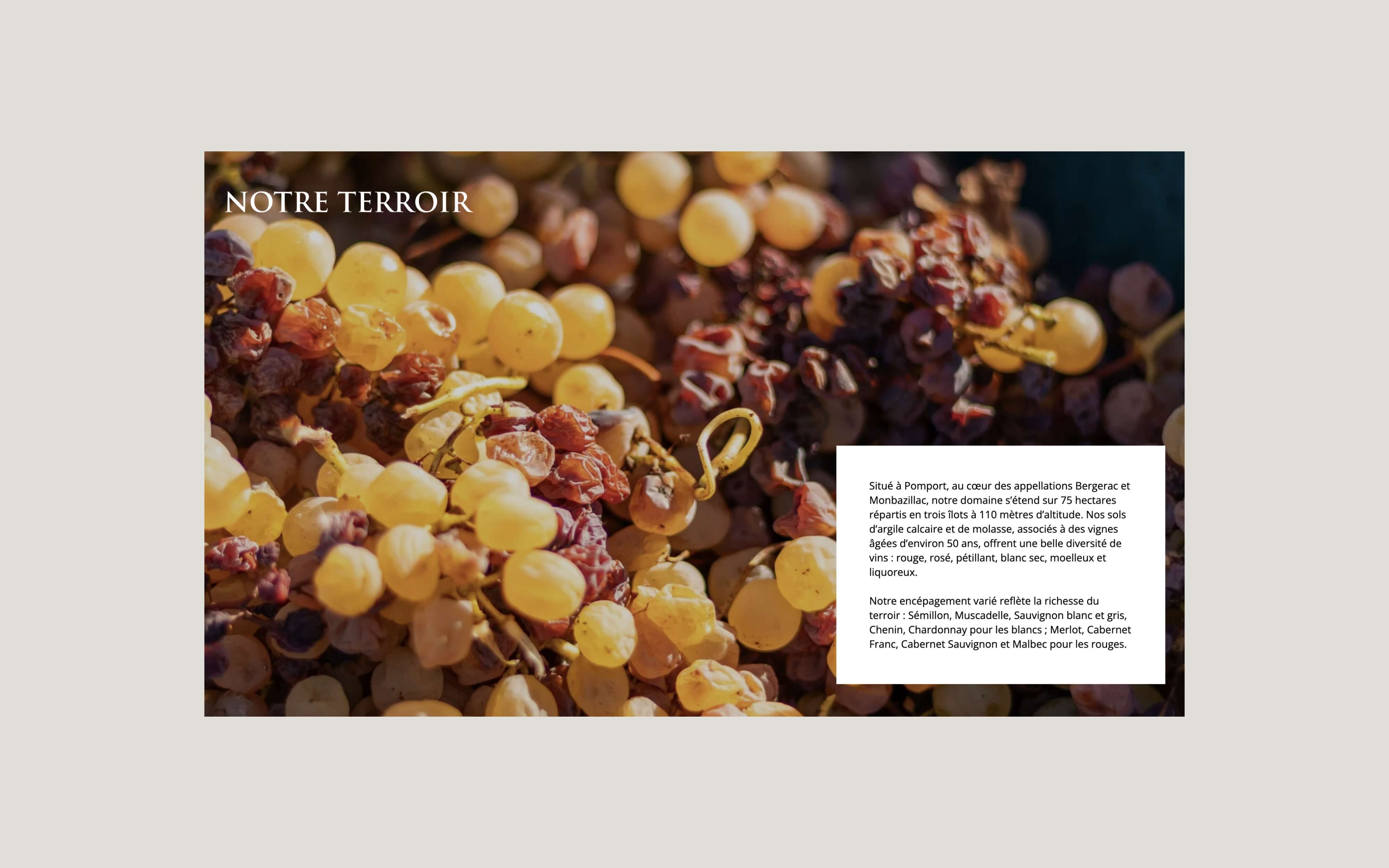 Page A propos Domaine du Haut Montlong refonte Shopify