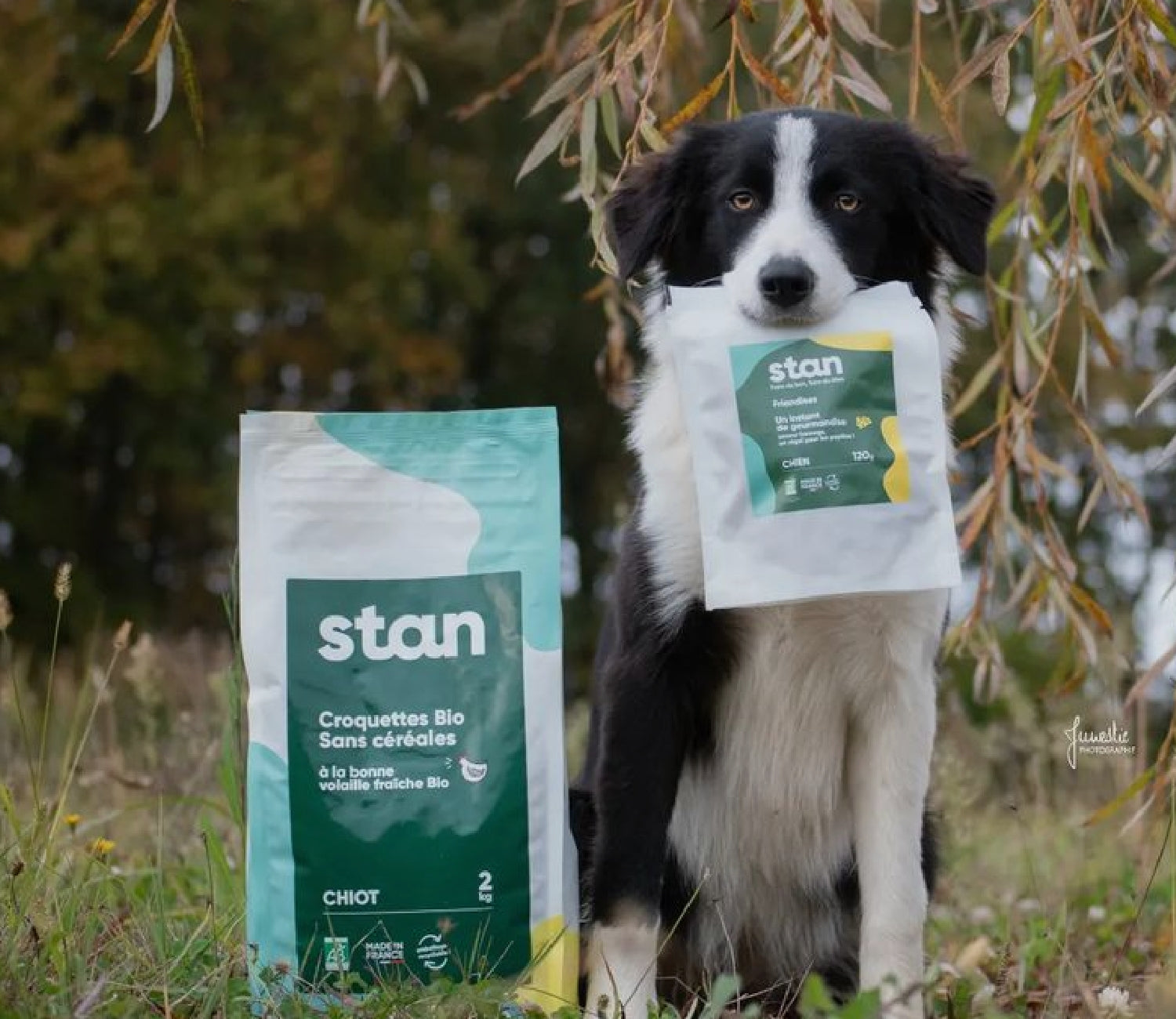 Site Shopify Stan