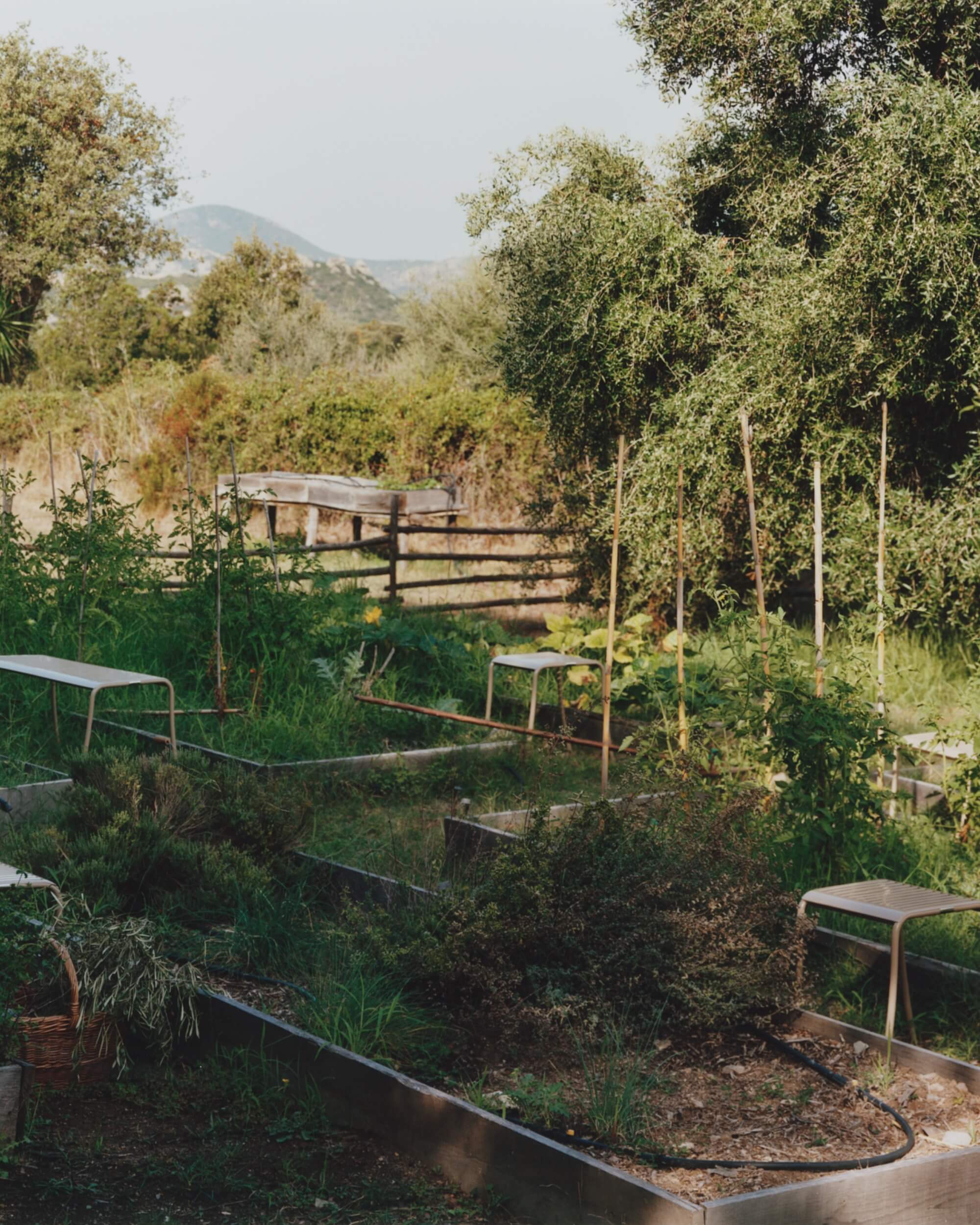 Photo des produits de la marque refonte Shopify Tolix