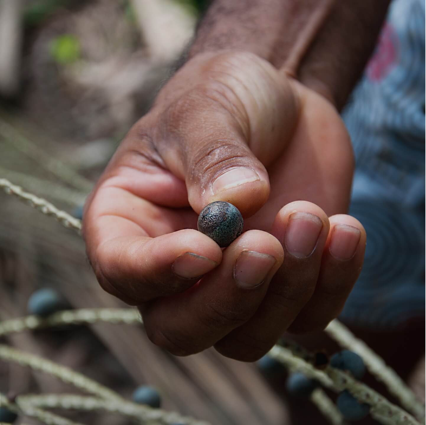 Site Shopify de la marque Nossa