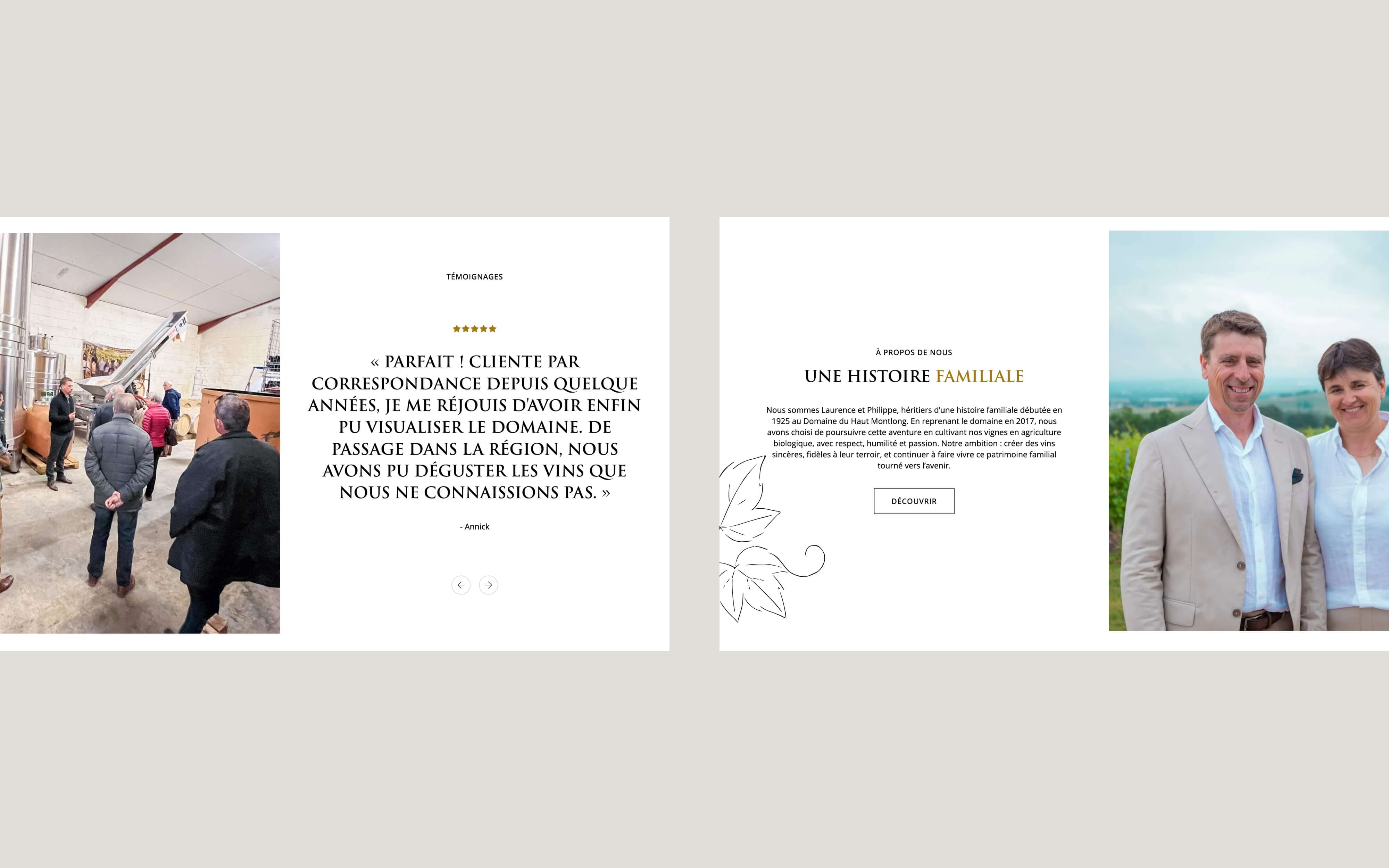 Page d'accueil et avis Shopify refonte Domaine du Haut Montlong